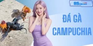 Đá Gà Campuchia