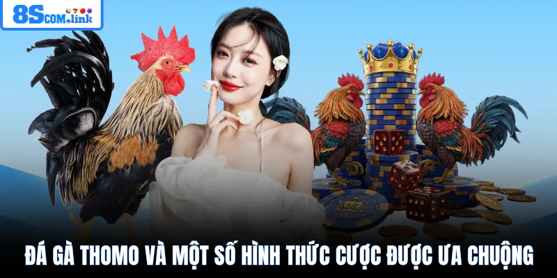 Đá gà Thomo và một số hình thức cược được ưa chuộng