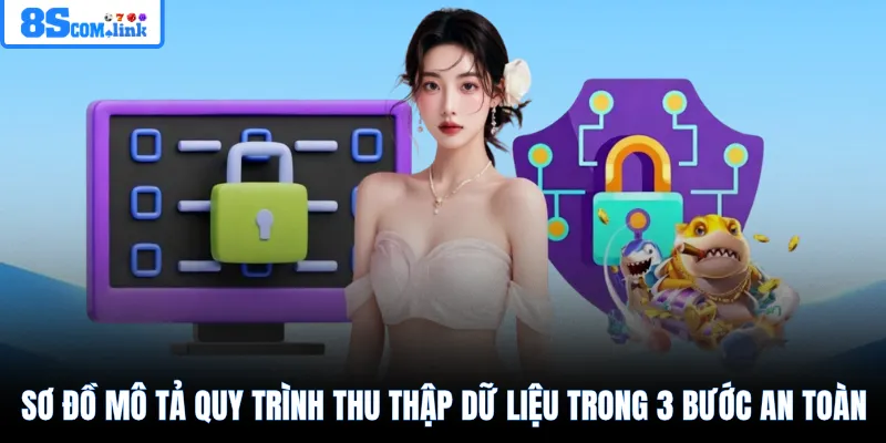 Sơ đồ mô tả quy trình thu thập dữ liệu trong 3 bước an toàn 