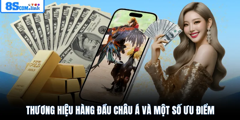Thương hiệu hàng đầu châu Á và một số ưu điểm